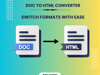 Convert DOCX into HTML with DOCX - HTML Converter