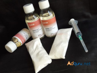 Buy Nembutal Oral and injectables solution 50ml, 100ml and 250ml for sale