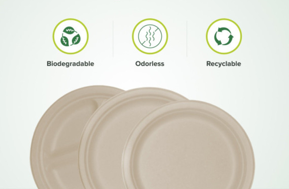 shop-biodegradable-plates-this-black-friday-sustainable-savings-await-big-0