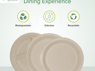 Shop Biodegradable Plates This Black Friday – Sustainable Savings Await