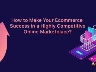 How to Make Your Ecommerce Success in a Highly Competitive Online Marketplace?