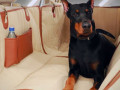 waterproof-car-dog-hammock-with-side-flaps-protect-your-car-and-pamper-your-pup-in-small-0