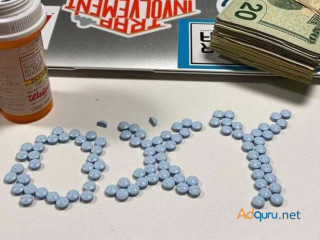 Christmas deals for Orange Adderall, Oxycodone, Xanax, Ritalin, Subotex, qualuude, ecstacy online