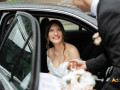 wedding-limo-service-abington-small-0