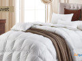 the-ultimate-guide-to-choosing-the-perfect-duvet-cover-set-small-0