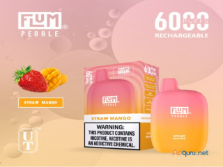 Flum PEBBLE 5% Disposable Vape - 6000 Puffs of Smooth Satisfaction