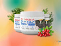 unlock-the-power-of-the-sumatra-slim-belly-tonic-for-a-slimmer-you-small-0