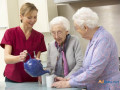 the-stone-lodge-senior-living-memory-care-in-shepherd-mi-small-0