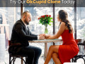 revolutionize-online-dating-try-our-okcupid-clone-today-small-0