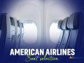 how-much-does-an-american-charge-to-choose-your-seat-small-0