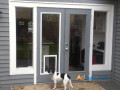 stylish-french-doors-with-pet-door-in-lewisville-tx-small-0