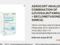 treat-asthma-with-aerocort-inhaler-buy-now-at-onlinegenericmedicine-small-0