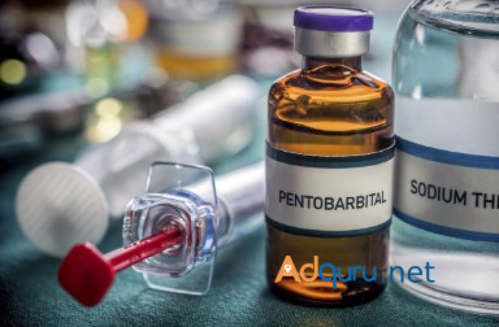 nembutal-pentobarbital-for-sale-nembutal-for-sale-in-usa-big-1