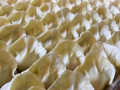 dumpling-frozen-small-0