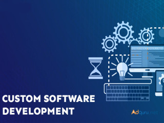 Custom Software Development