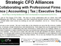 strategic-cfo-alliances-small-0