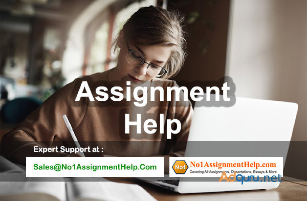 assignment-help-get-online-services-at-no1assignmenthelpcom-big-0