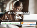 assignment-help-get-online-services-at-no1assignmenthelpcom-small-0