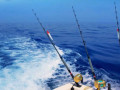 deep-sea-fishing-port-canaveral-fl-small-0