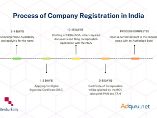 Foreign Company Registration Services in India - VenturEasy