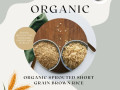 organic-sprouted-short-grain-brown-rice-small-0