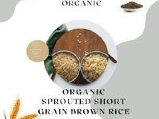 Sprouted Short Grain Brown Rice