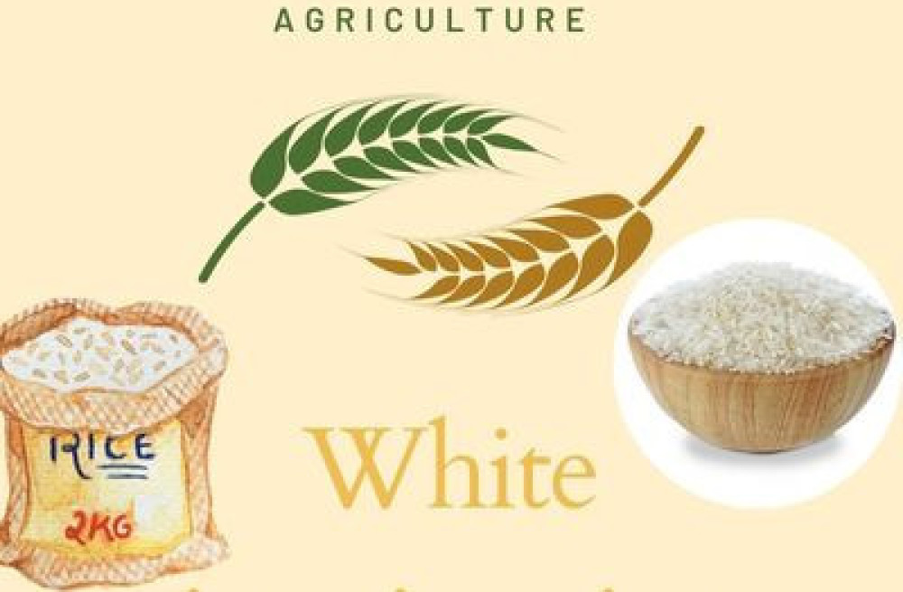 buy-white-jasmine-rice-big-0