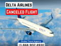 how-can-i-find-out-if-my-delta-flight-has-been-canceled-small-0