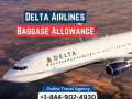 what-is-delta-baggage-policy-small-0