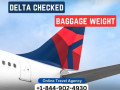 what-is-the-weight-limit-for-delta-checked-baggage-small-0