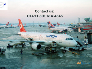 How do I get a full refund on Turkish Airlines? Scroll for Full Information!