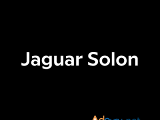 Jaguar Solon