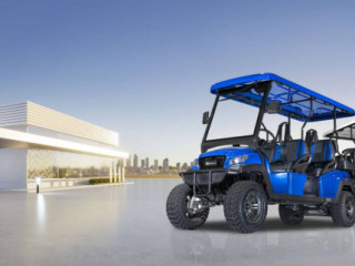 Island Adventures Made Easy with AMI Golf Cart Rentals
