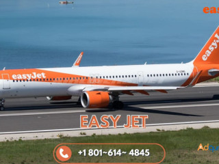 How Do I Talk to a Real Person at Easy Jet?