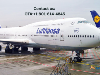 How Do I Talk to a Real Person at Lufthansa? – Solve Your Flight Issues Fast