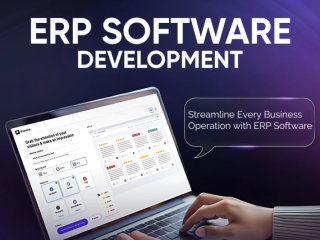 Maximize Efficiency with Our Intelligent ERP Software Systems