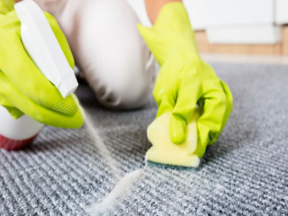 Upholstery Cleaning Products