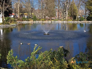 Pond Maintenance & Pond Supplies