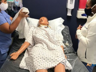 Gain Real-World Skills at a Top Patient Care Technician School