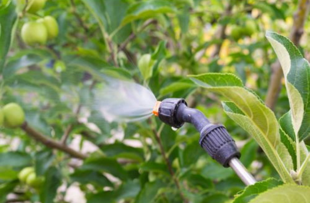 leaf-cleanups-in-highlands-ranch-big-0