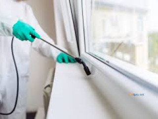 Pest removal Melbourne