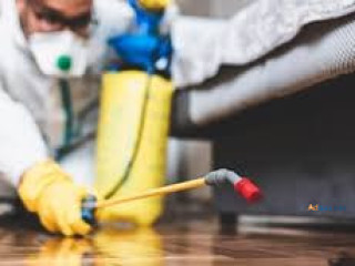 Residential pest control Orlando