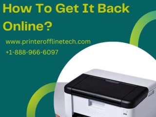 Brother Printer Offline: How To Get It Back Online?