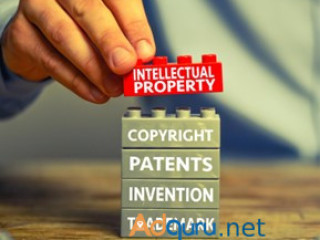 Experienced Intellectual Property Attorney