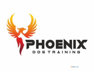 Dog aggression trainer phoenix