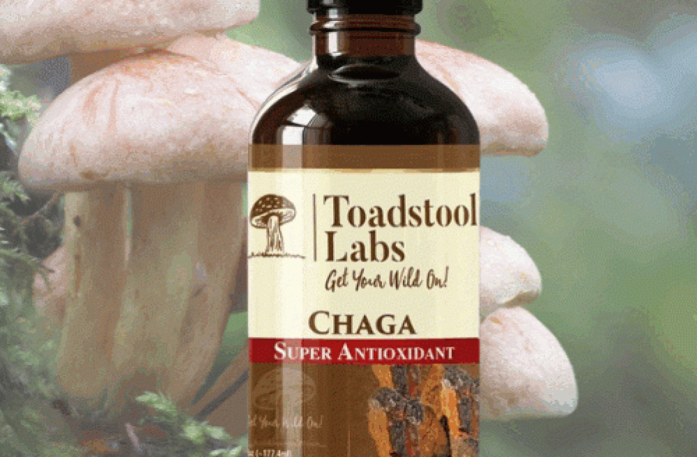 buy-high-quality-toadstool-mushrooms-online-in-usa-toads-tool-labs-big-0
