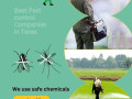 best-pest-control-companies-in-texas-small-0