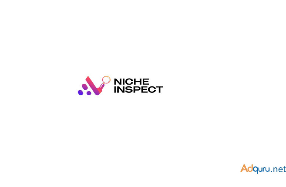 niche-inspect-is-your-partner-for-effortless-shopping-experience-big-0