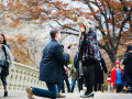 places-to-propose-on-central-park-small-0