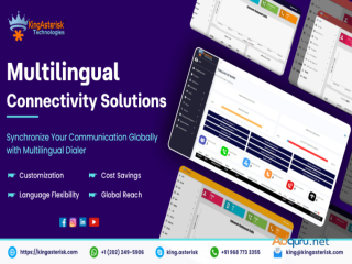 Multilingual Connectivity Solutions......